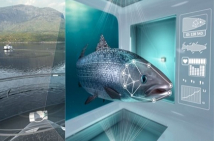 그림 4.  3D 레이저 스캐너를 이용한 “연어여권(Salmon Passport)”[10]